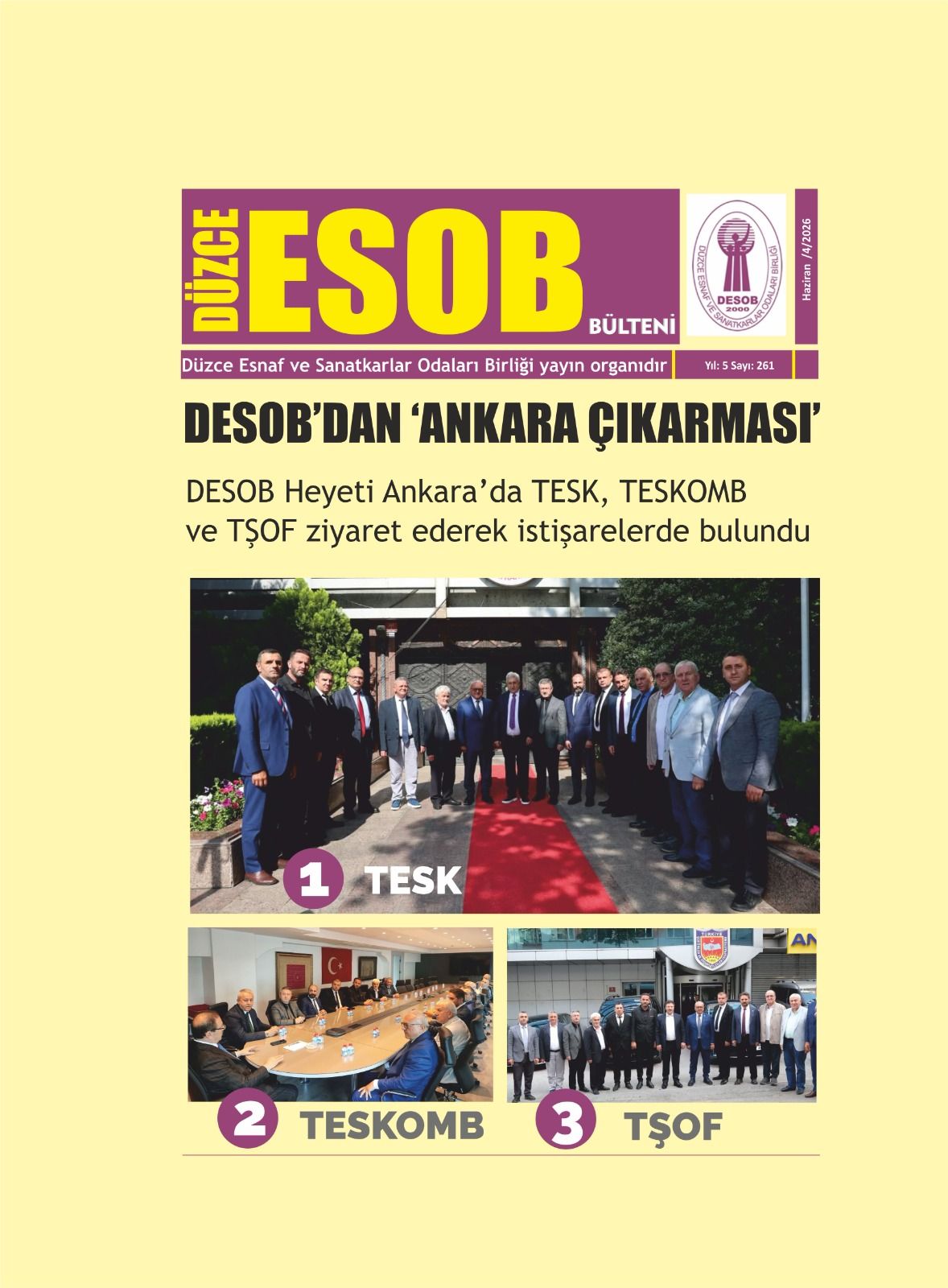 DESOB BÜLTENİ 261.SAYI