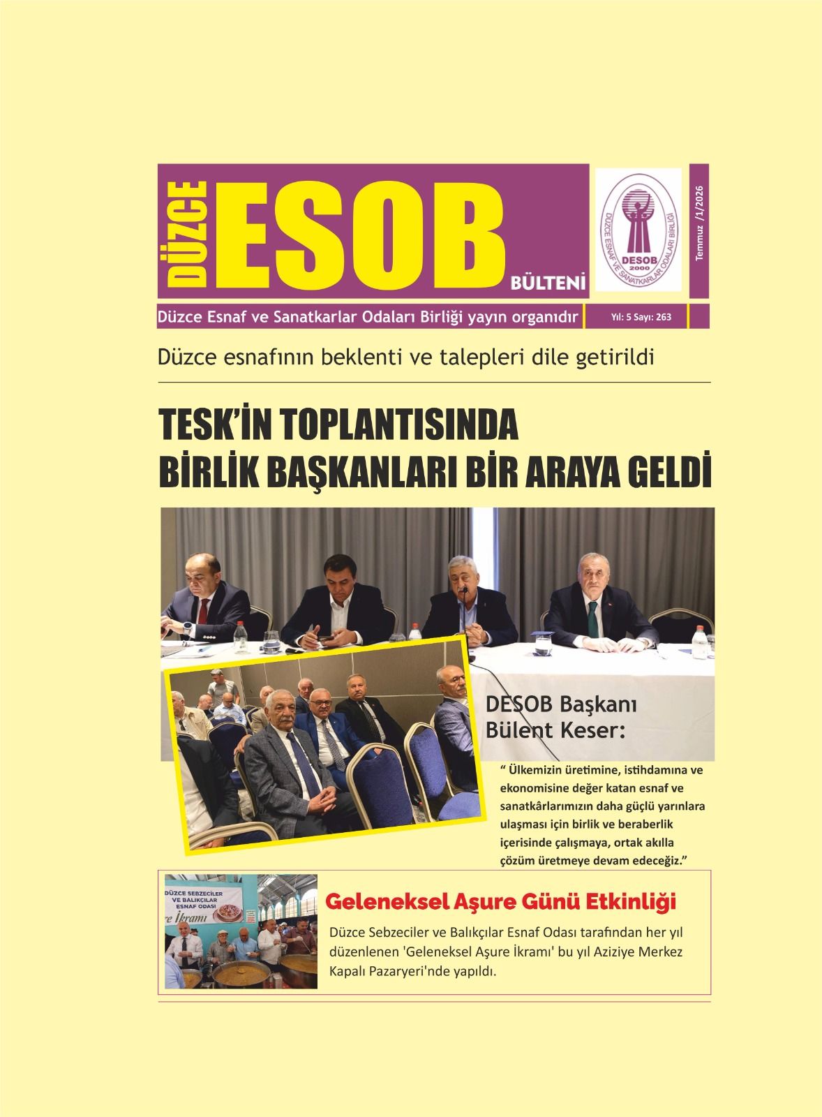 DESOB BÜLTENİ 263. SAYI